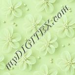 Colour:K
