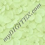 Colour:K