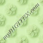 Colour:K