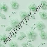 Colour:C