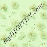 Colour:K