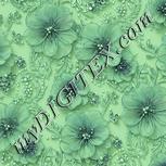 Colour:K