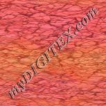 Colour:F