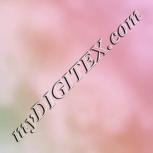 Colour:B
