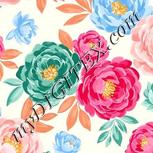 Colour:A