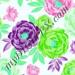 Colour:C