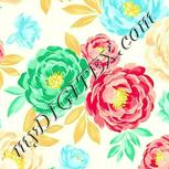 Colour:K