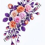 Colour:B