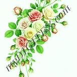 Colour:K