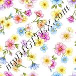 Colour:A