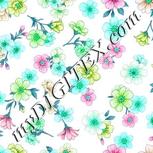 Colour:C