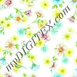 Colour:K