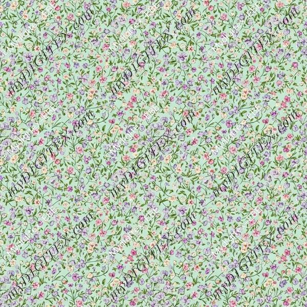 EBE 0005900