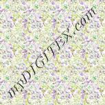 Colour:D