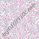 Colour:B