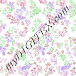 Colour:C