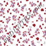 Colour:B