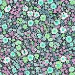 Colour:C