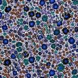 Colour:F