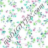 Colour:C
