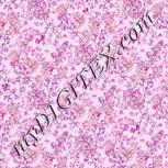 Colour:B