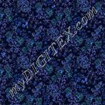 Colour:F