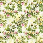 Colour:A