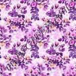 Colour:B