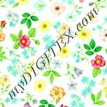 Colour:K