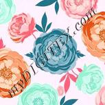 Colour:B
