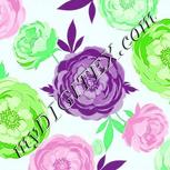Colour:C