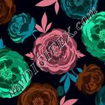 Colour:F