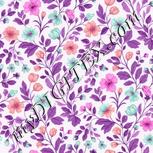Colour:B