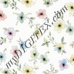 Colour:A