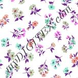 Colour:B