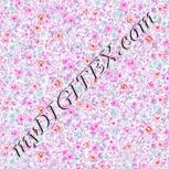 Colour:B