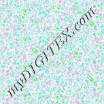 Colour:C