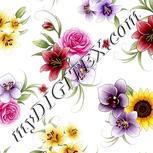 Colour:A