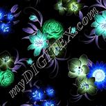 Colour:F