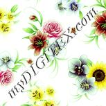 Colour:K