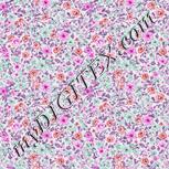 Colour:B