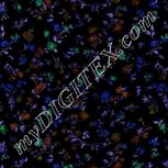 Colour:F