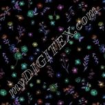 Colour:F
