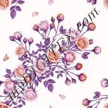 Colour:B