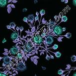 Colour:F