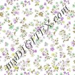 Colour:D