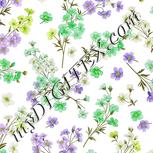 Colour:D