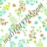 Colour:K
