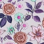 Colour:B