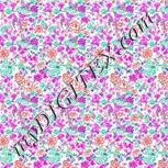 Colour:B